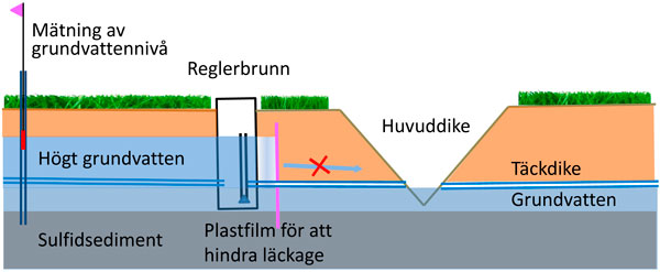 To the left of the ditch: Regulation of the outflow from covered drains using a regulating well and a ‘floating groundwater antenna’ for easy monitoring of the groundwater level. If regulation is started early enough in the spring, the sinking of the groundwater level can be slowed down. To the right: A conventional covered drain without regulation. Recreated from Österholm & Rosendahl 2012.