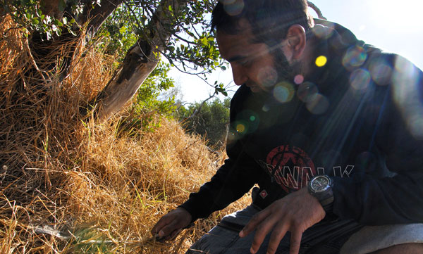 Parvez Alam testing a cobweb, hoping to find an interesting spider.