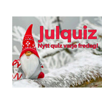 julquiz